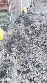Video.mov